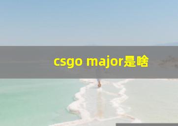 csgo major是啥